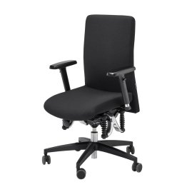 Produktfoto des ergonomischen Bürostuhls von Haider Bioswing vom Modell 365 Basic vor weißem Hintergrund