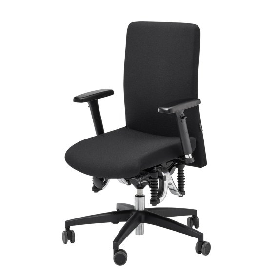 Produktfoto des ergonomischen Bürostuhls von Haider Bioswing vom Modell 365 Basic vor weißem Hintergrund