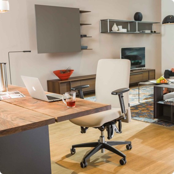 Haider Bioswing 365 B&uuml;rostuhl im Homeoffice, preiswerte Alternative zum Haider Bioswing 360 iQ
